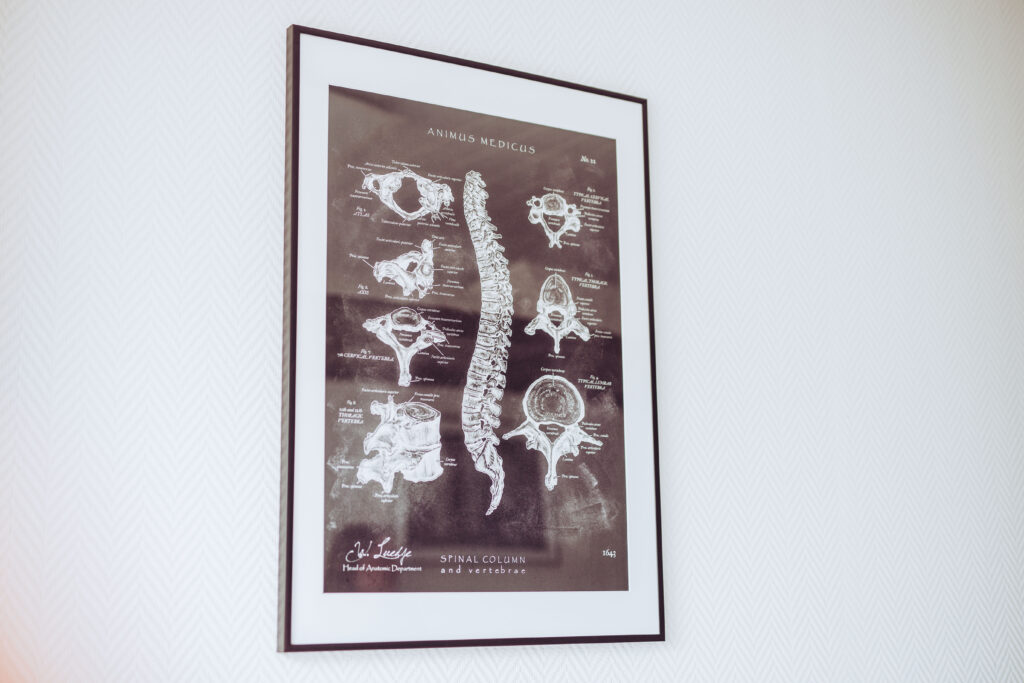 Ein dekoratives Bild, das an der Wand angebracht ist, zeigt eine Wirbelsäule.